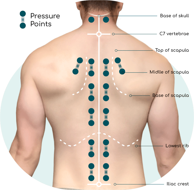 GOTECH MyPulse Waist Massager, Spine Care, Improve Backache, Back Massage -  Dual Channel Low Frequency - AIN'A