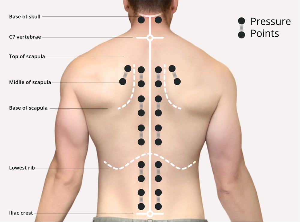 Human back - male back - pressure points - position of robotic fingers-100